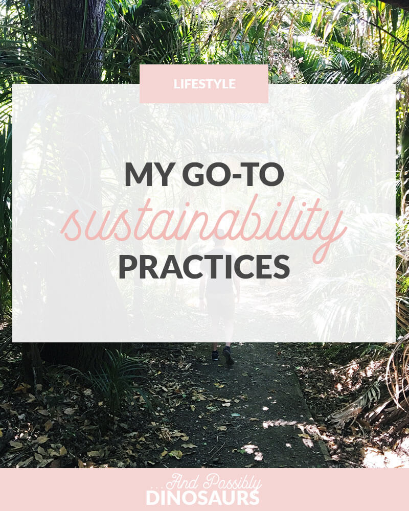 My Go-To Sustainability Practices